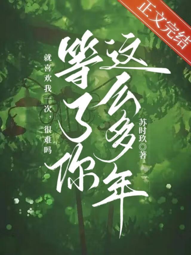 等了你这么多年苏时玖