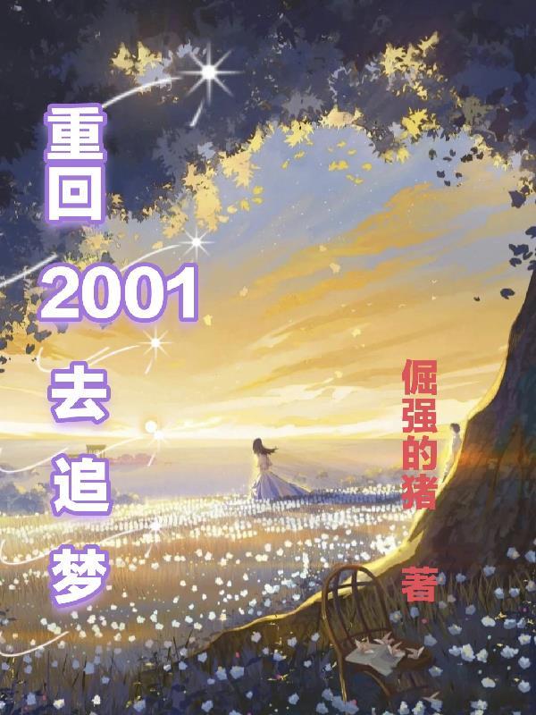 重返2001年