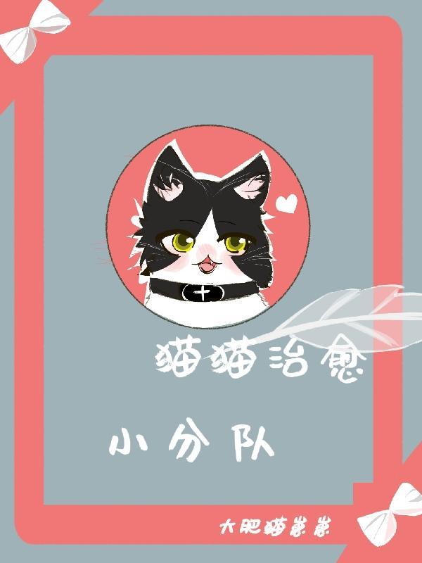 猫猫可以治愈一切文案