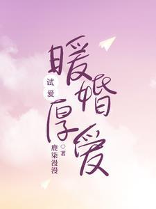 试婚成瘾夏暖完整版