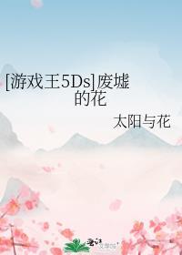 游戏王5Ds废墟的花晋江