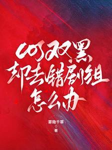 cos双黑穿原著