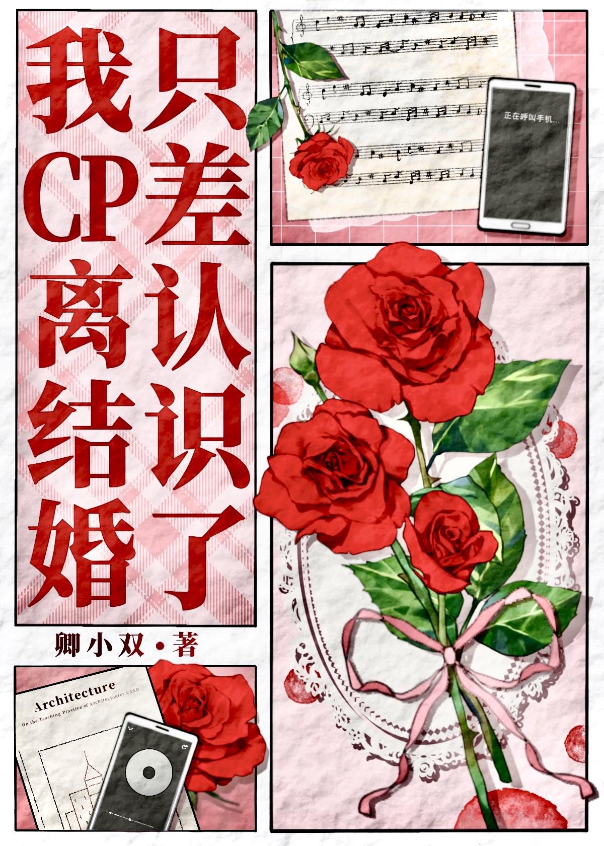 什么?我磕的cp离过婚