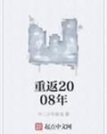 重返2008年番外