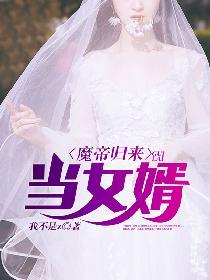 魔帝归来当女婿几个老婆