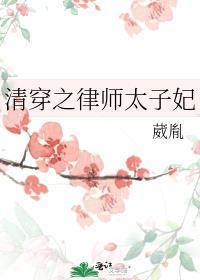 清穿之律师太子妃