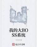 我的大BOSS系统